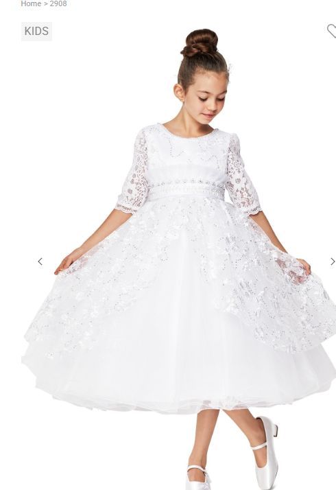 3/4 Sleeve Lace Tulle Dress 2908