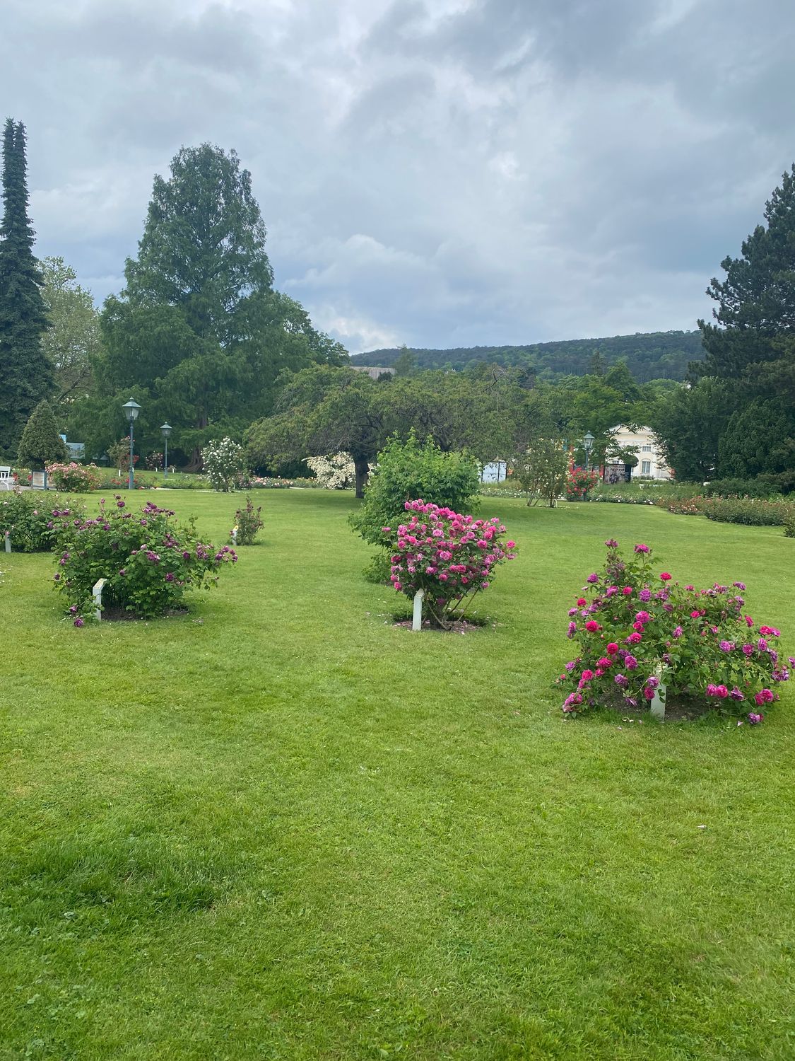 женска черна тениска с бял принт "Мегдан 2026"