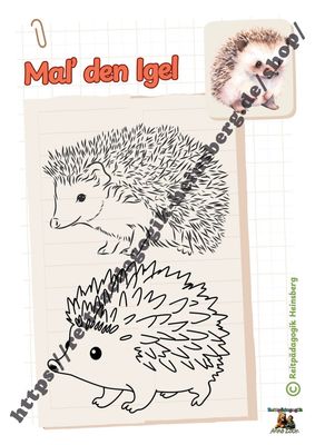 Natur und Tiere