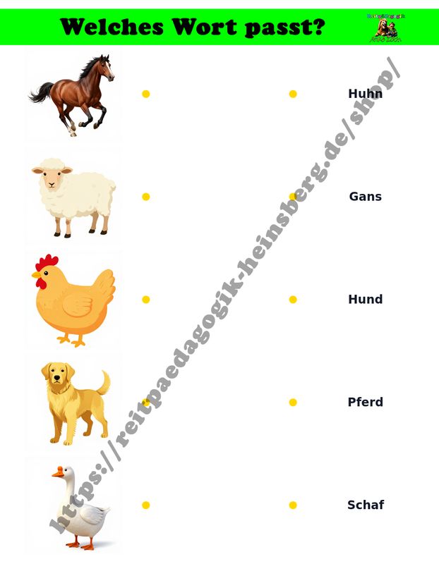 Welches Wort passt? Welches Wort passt?