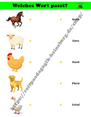 Welches Wort passt?