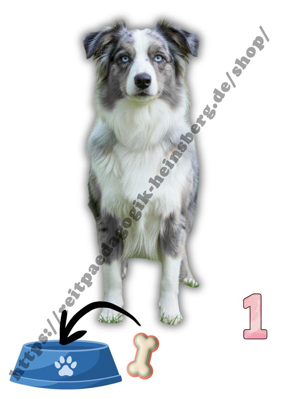 Hungrige Hunde – Zähl‑ und Zuordnungskarten Hungrige Hunde Blatt 1