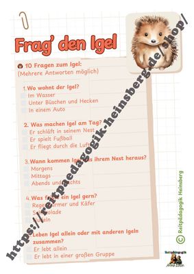 Alles über den Igel Blatt 1