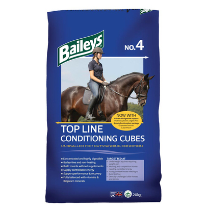 BAILEYS NO.4 - TOPLINE CONDITIONG CUBES