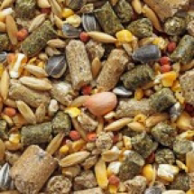 Bearts Guinea Pig &amp; Hamster Mix+vit C