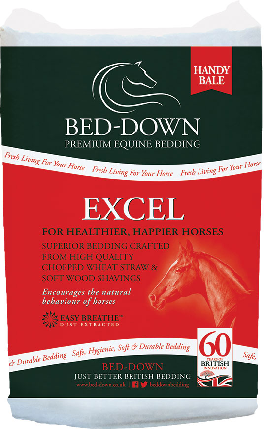 BED DOWN EXCEL