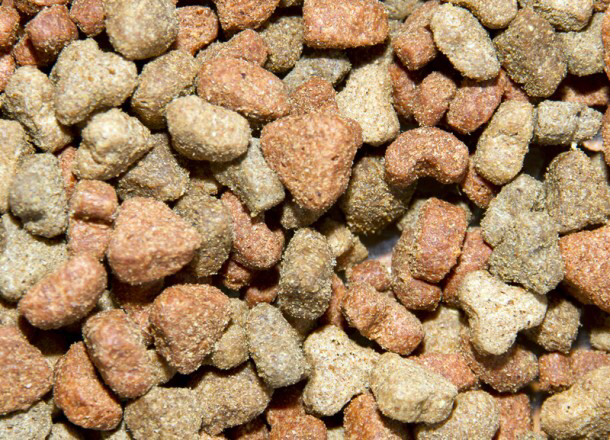 Cat Crunch