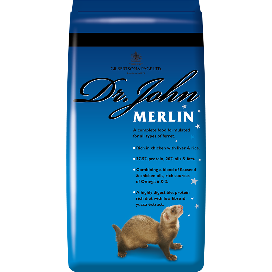 Dr John merlin