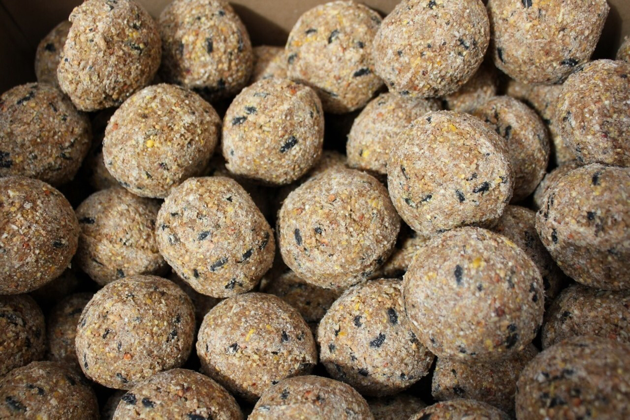 FAT BALLS NO NETS X140