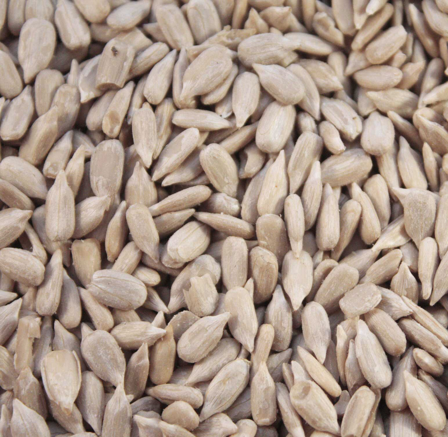 SUNFLOWER HEART 20kg