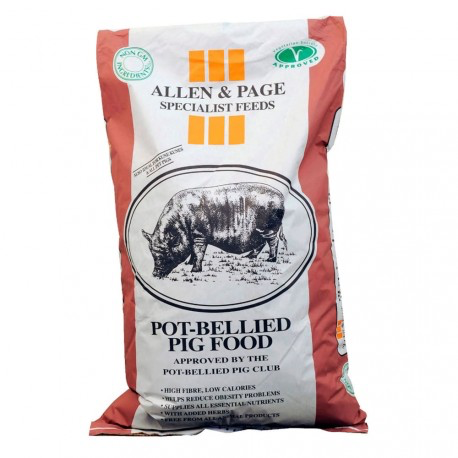 A&amp; P Pot Bellied Pig