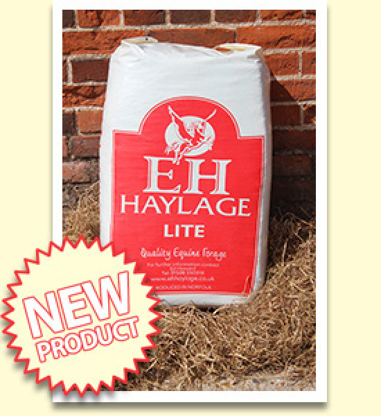 E H HAYLAGE LIGHT