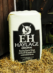 E H HAYLAGE - ORIGINAL