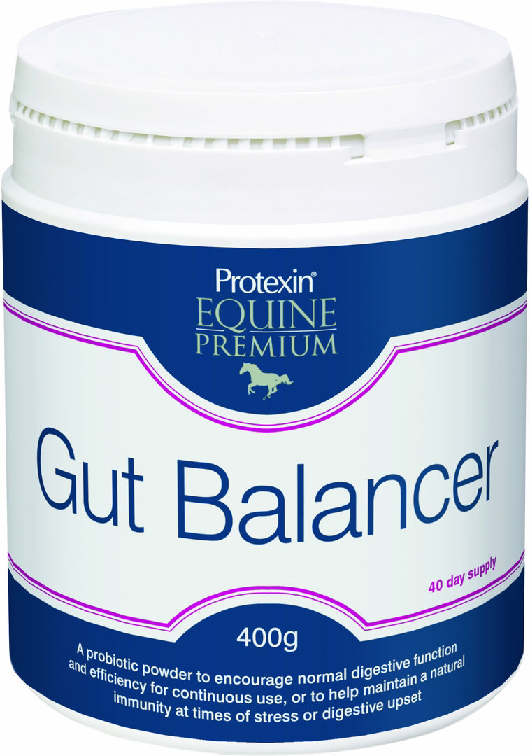 Protexin Gut Balancer 400g
