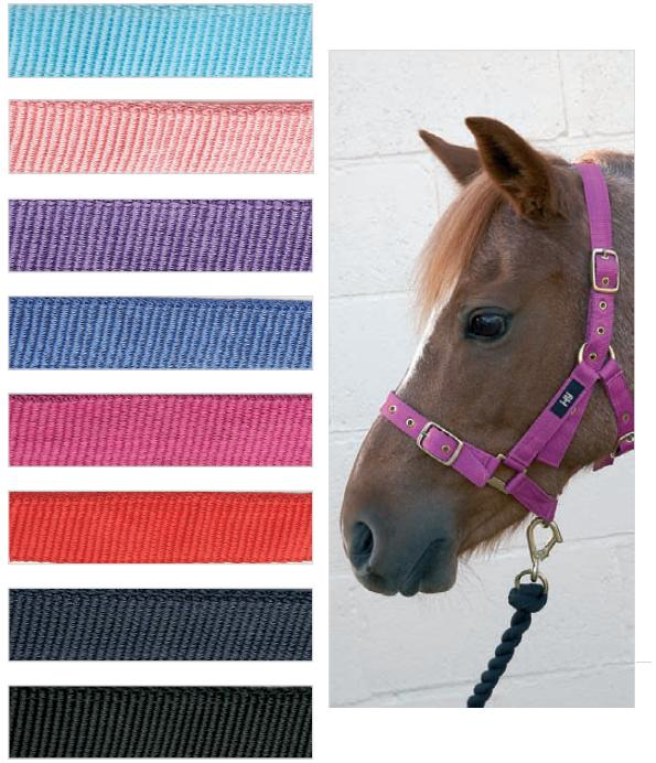 HEAD COLLAR - HY DUO - PONY