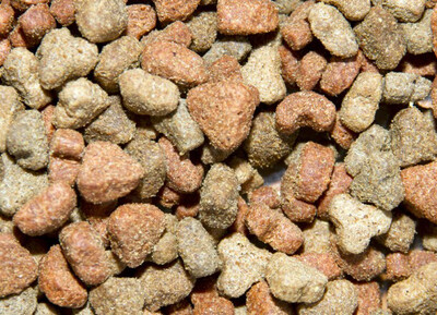 Cat Crunch