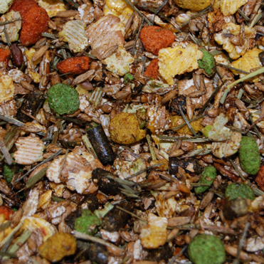 Guinea Pig Moist Mix