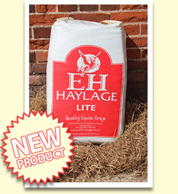 E H HAYLAGE LIGHT