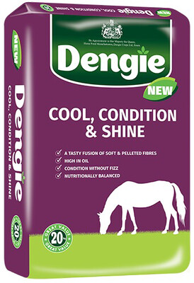 DENGIE COOL+CONDITION +SHINE