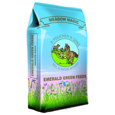 Emerald Green Meadow Magic