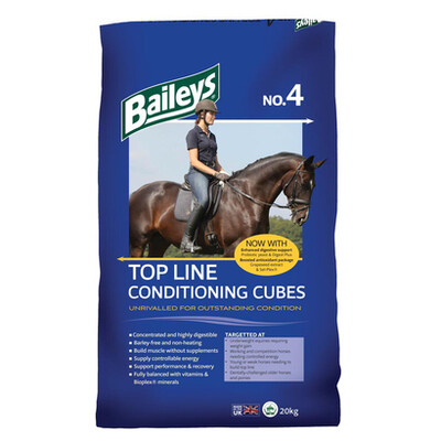 BAILEYS NO.4 - TOPLINE CONDITIONG CUBES
