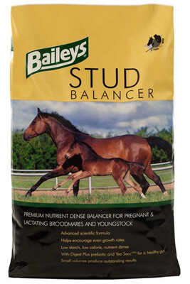BAILEYS STUD BALANCER