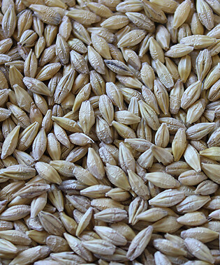 WHOLE BARLEY 20kg