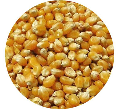 WHOLE  MAIZE 20kg