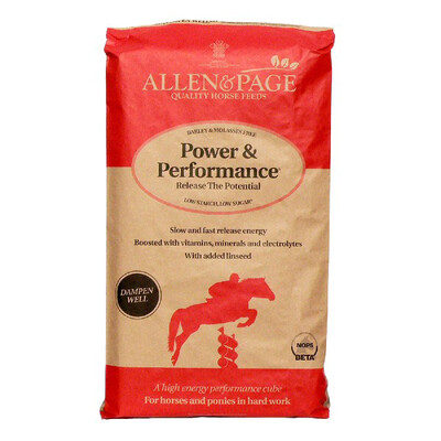 ALLEN &amp; PAGE POWER  &amp;  PERFORMANCE