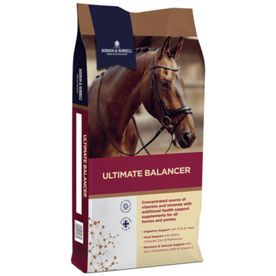 D &amp; H ULTIMATE BALANCER