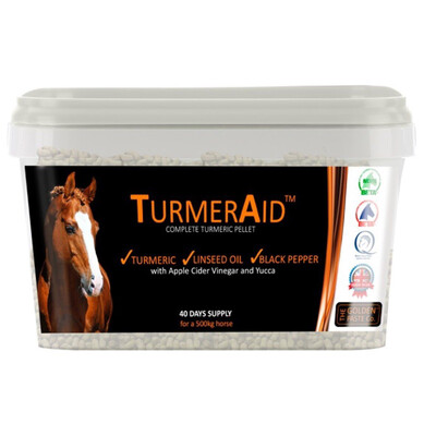 TURMEAID 2KG