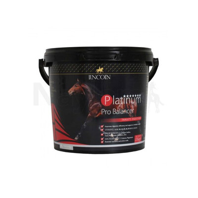 LINCOLN PRO BALANCER