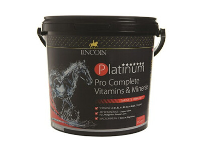 MAG VIT AND MINERAL 30 DAY 1.65kg