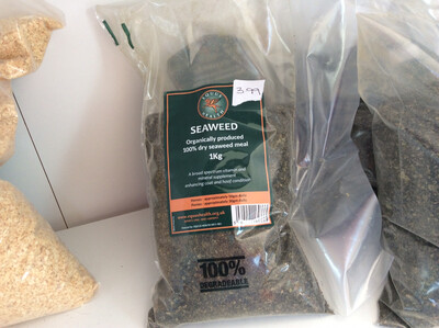 EQUUS HEALTH SEAWEED 1 KILO