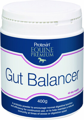 Protexin Gut Balancer 400g