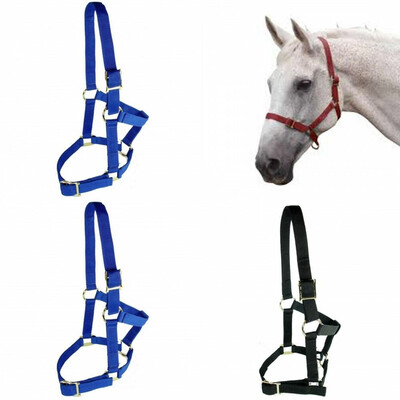 HEAD COLLAR - ECONOMY