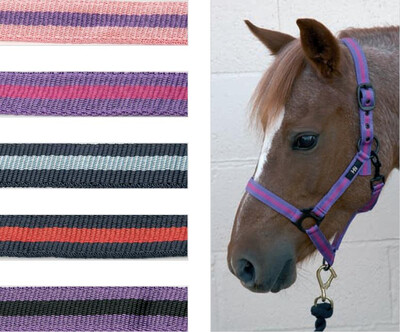 HEAD COLLAR - HY DUO - COB