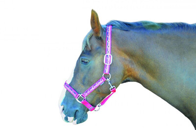 HEAD COLLAR - LOVE