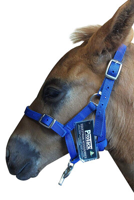 PROTACK HEADCOLLAR ADJUSTABLE - PONY