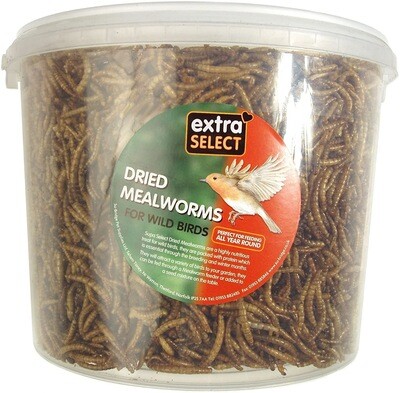 EXTRA SELECT MEALWORM 5LITRE