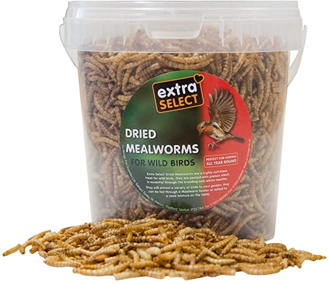 EXTRA SELECT MEALWORM TUB 1 Litre