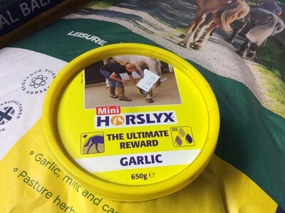 Mini Horslyx Garlic 650g
