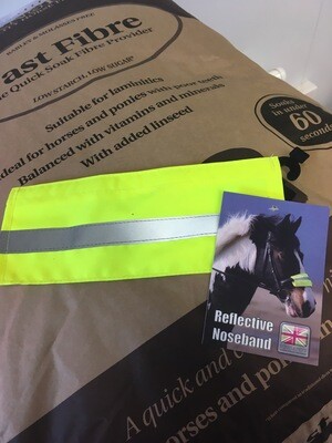 Reflective Nose Band