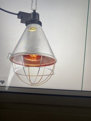Infrared Lamp