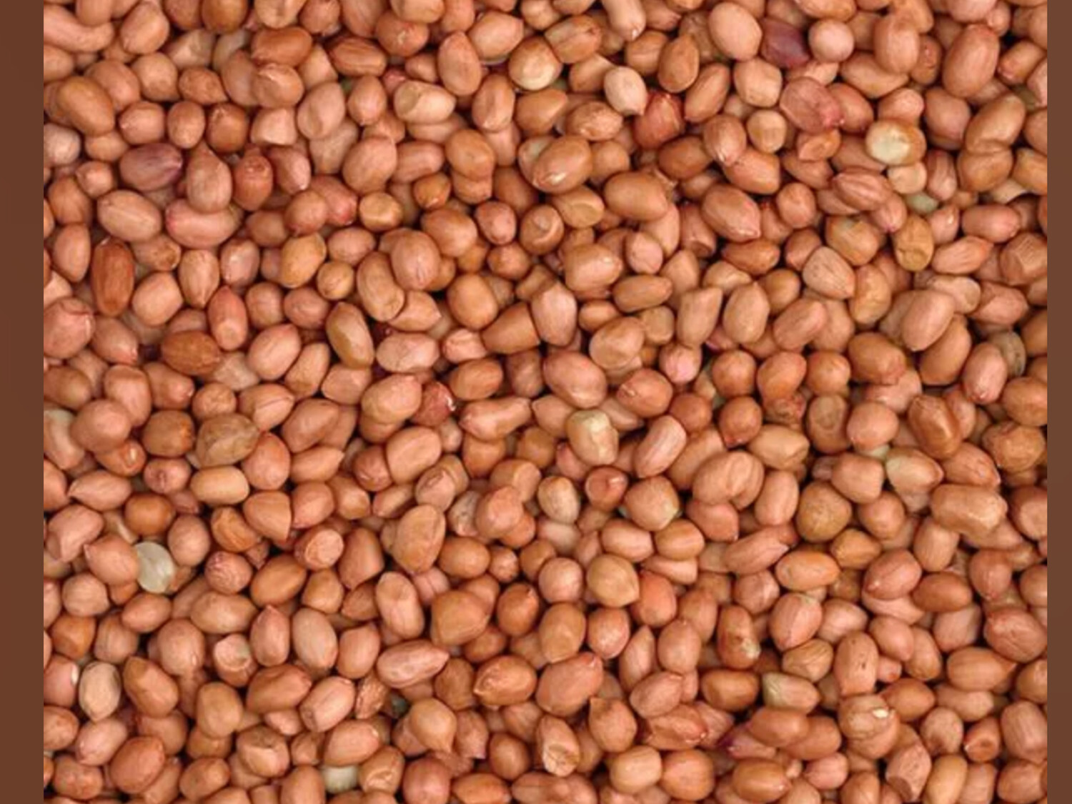 Peanuts 25kg