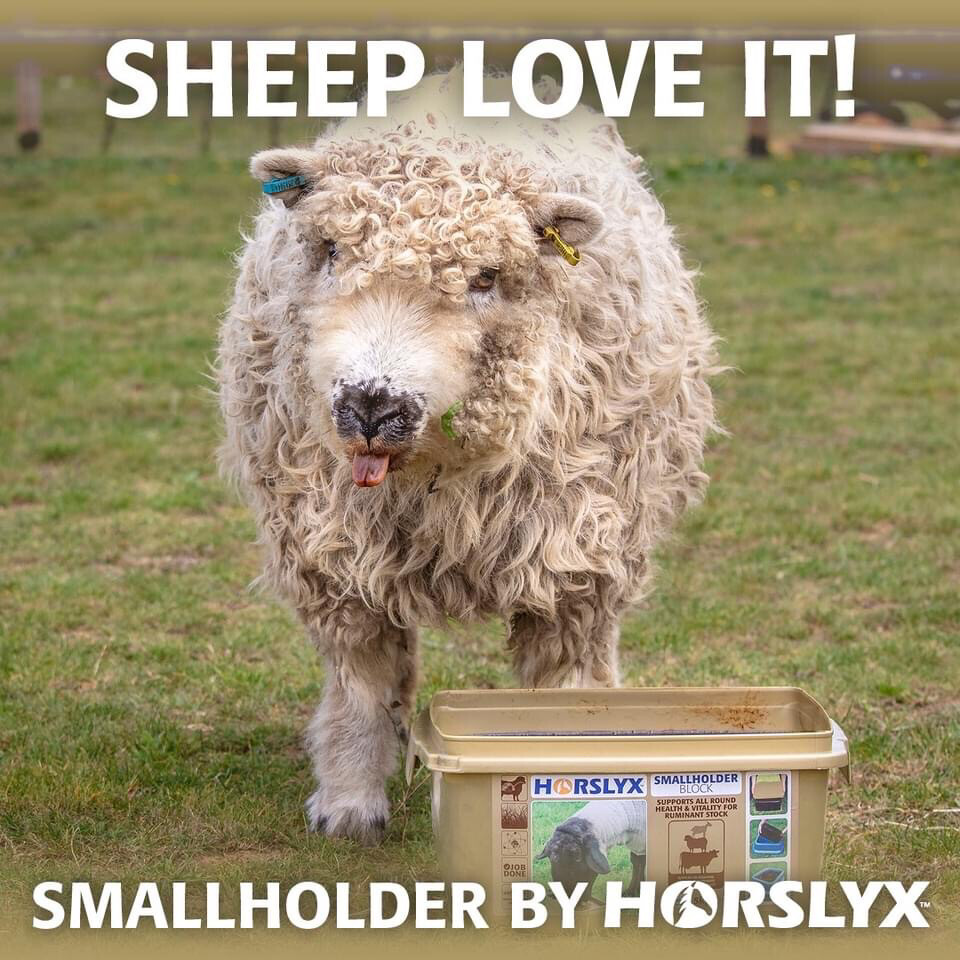 Horsylx 15 Kilo