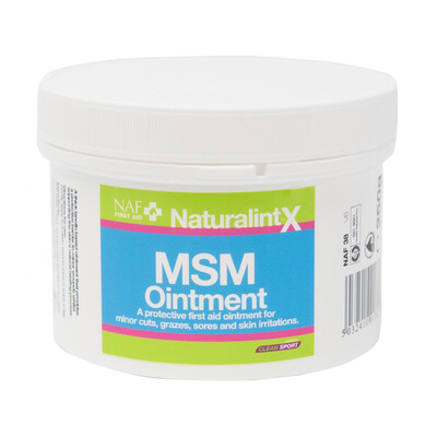 NATURALINTX MSM OINTMENT 250ML