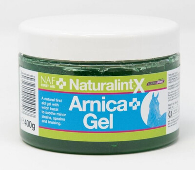 NATURALINTX ARNICA GEL 400G
