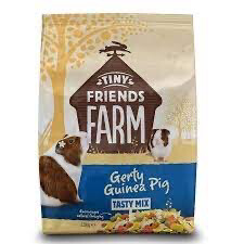 Gerty guinea Pig
