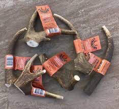 WILD DEER ANTLERS LARGE